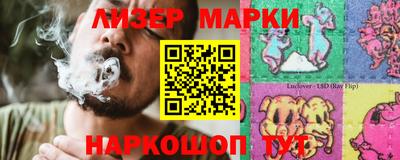 прущие грибы Будённовск