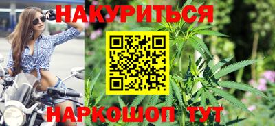 прущие грибы Будённовск