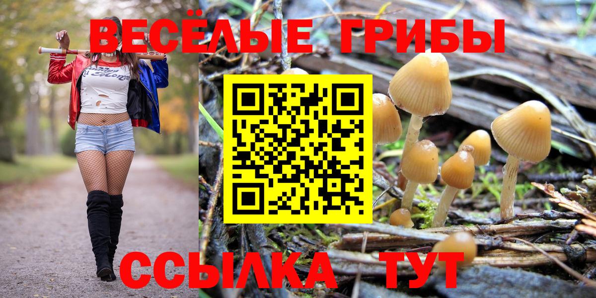 Галлюциногенные грибы ЛСД  Вход с VPN  Саянск  Псилоцибиновые грибы GOLDEN TEACHER 