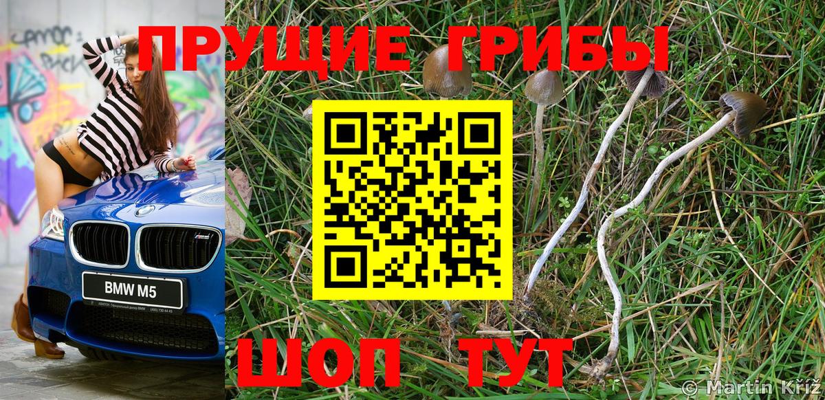 Псилоцибиновые грибы прущие грибы Саянск